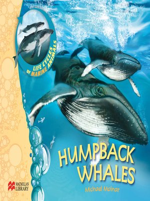 cover image of Humpback Whales